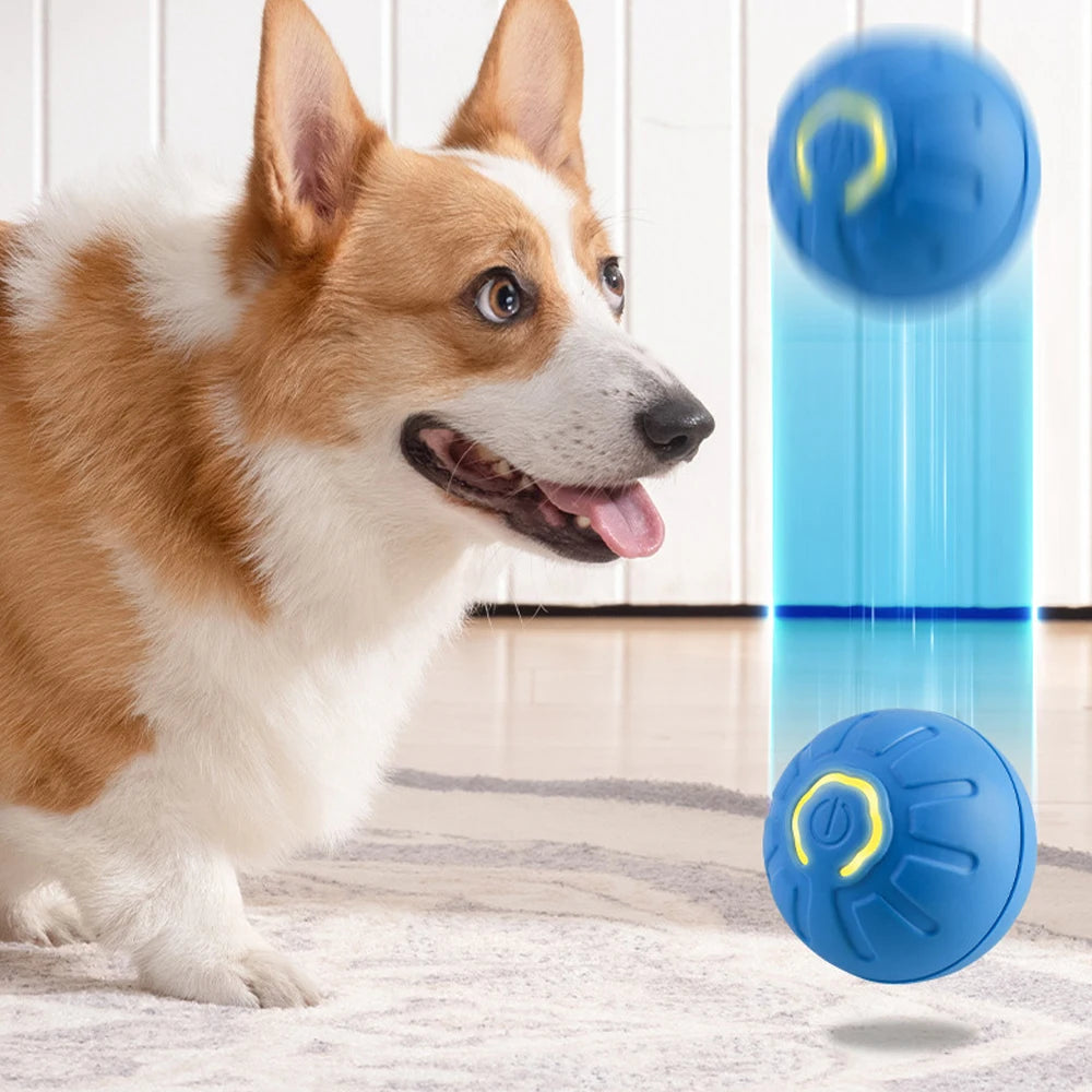 Smart Pet Toys Dog Bouncing Ball Automatic Rolling Ball Interactive Training Self-Moving Electric Toys Pet Accessories
